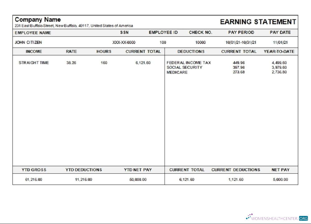 Download USA Michigan pay stub Photoshop template